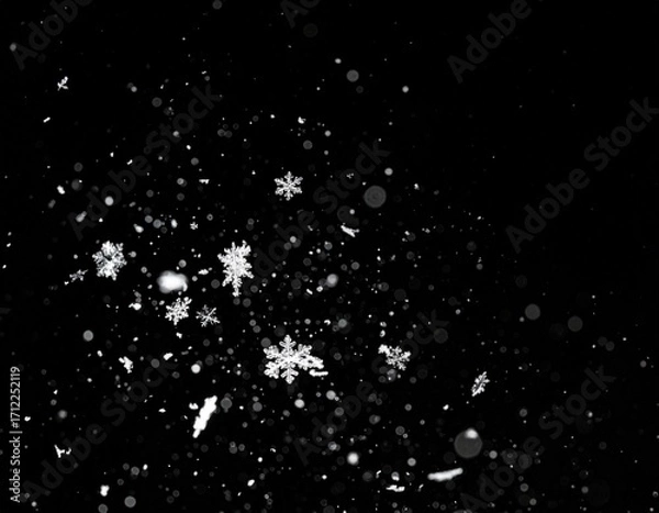 Fototapeta Floating Snow Particles on Black Background