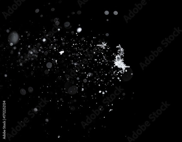 Fototapeta Floating Snow Particles on Black Background