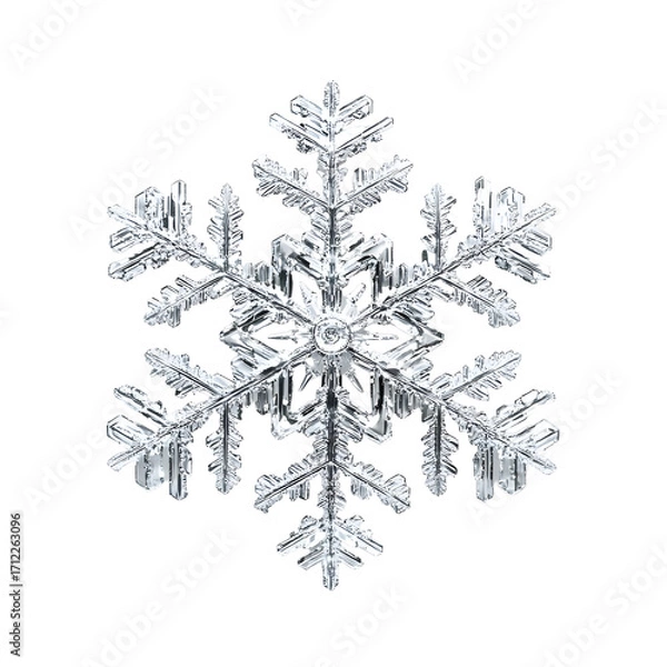 Fototapeta Snowflake on White Background Macro Photo