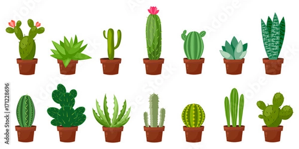 Obraz Horizontal banner set of desert, room green cactus. Flat, cartoon style. Vector illustration white background. Element design.