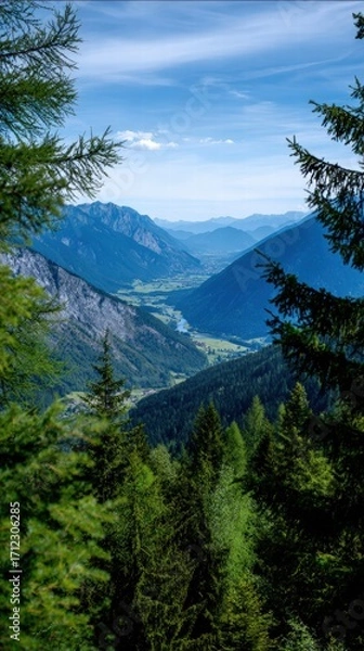 Obraz Scenic Mountain Valley with Lush Forests and Clear Sky