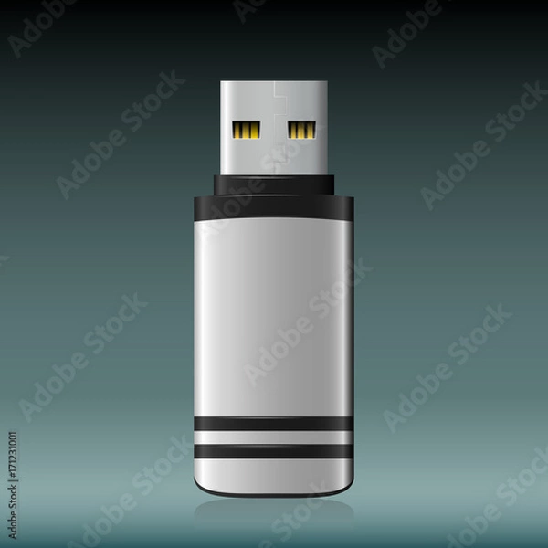 Obraz Vector isolated USB pen drive