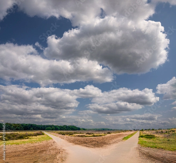Fototapeta A scenic view of a path diverging under a sky filled with large fluffy clouds. The surrounding landscape consists of open fields and patches of green vegetation.