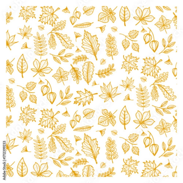 Fototapeta Autumn foliage hand drawn leave set botanical and branches seamless pattern
