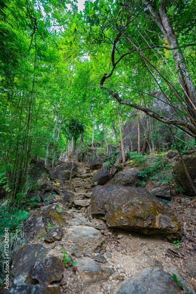 Fototapeta A picturesque view of a river gorge surrounded by lush green forests, with towering rock formations and a narrow bridge connecting the cliffs. The natural beauty and vibrant greenery. kissing cliffs