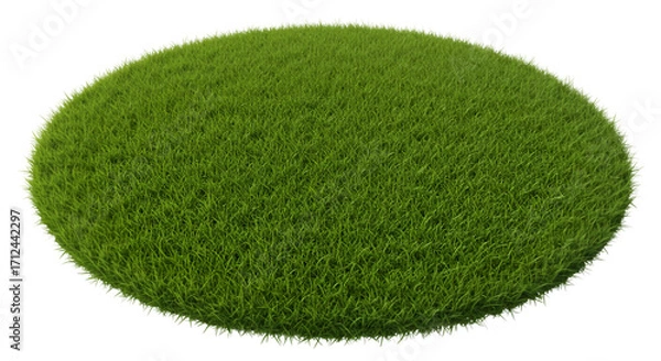 Fototapeta Lush Grass Circle: An isolated, close-up shot unveils a meticulously crafted, perfectly circular patch of vibrant green grass, evoking a sense of natural beauty and serenity.