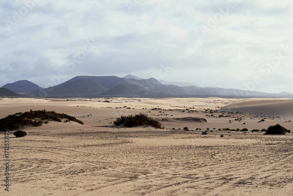 Fototapeta Expansive sand dunes of Corralejo with volcanic mountains in the background under soft light and a cloudy sky. A peaceful view of Fuerteventura’s natural beauty.