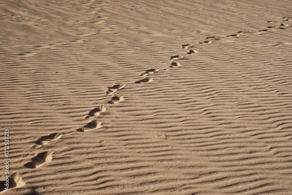 Fototapeta Footprints trail across the textured sand of Corralejo, revealing the delicate patterns shaped by the wind. A moment of solitude in a vast desert.