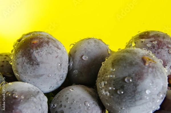 Fototapeta キイレンジャー