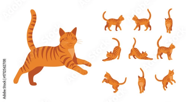 Fototapeta A collection of various orange tabby cat poses and actions. The cat is depicted in several dynamic and static positions, showcasing its agility and common behaviors.