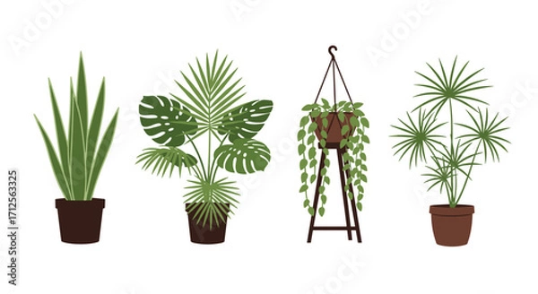 Fototapeta Various potted houseplants displaying diverse leaf shapes and growth patterns.