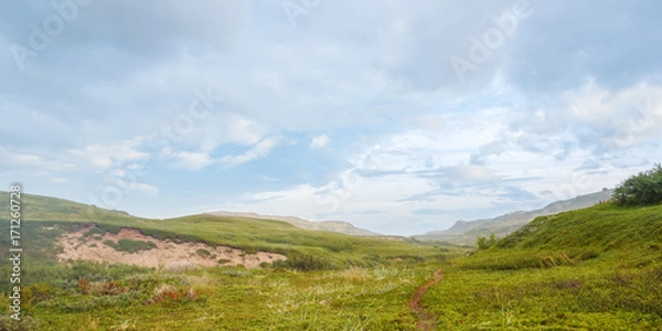 Fototapeta A trail along the green valley of the tundra in the north of Russia