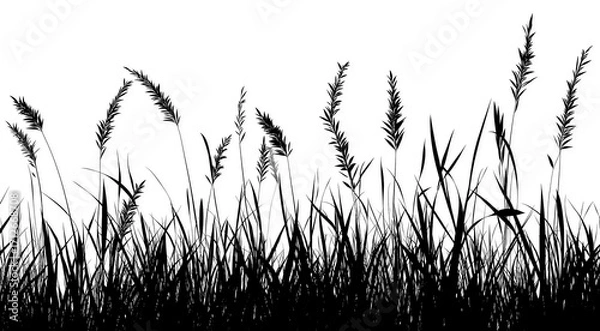 Fototapeta Realistic black grass silhouette isolated on transparent or white background. Ideal for nature designs, landscape art, borders, eco projects, and decorative illustrations.