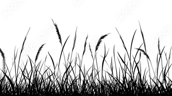 Fototapeta Realistic black grass silhouette isolated on transparent or white background. Perfect for nature, landscape, garden designs, borders, decorative, and eco-themed projects.
