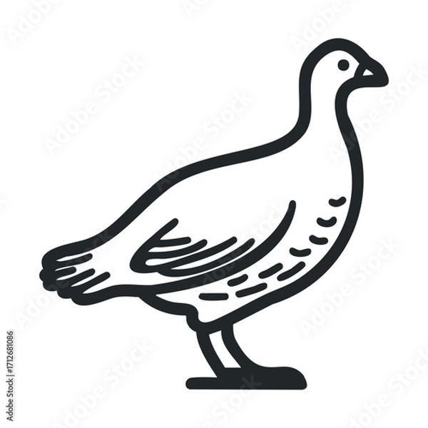 Fototapeta Simple outline of a bird standing in profile view. Vector line illustration