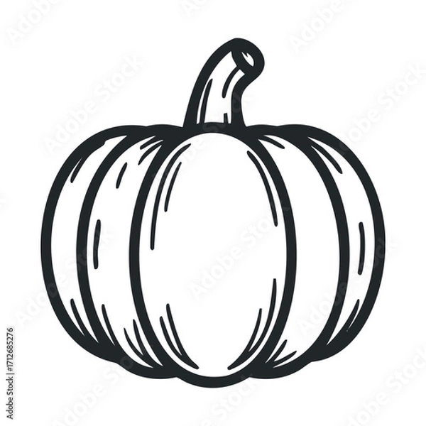 Fototapeta Drawing of a pumpkin for autumn harvest decoration and themes. Vector line illustration