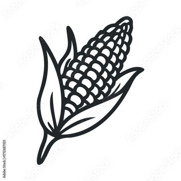Fototapeta Corn on the cob with leaves, great for harvest themes and dishes. Vector line illustration