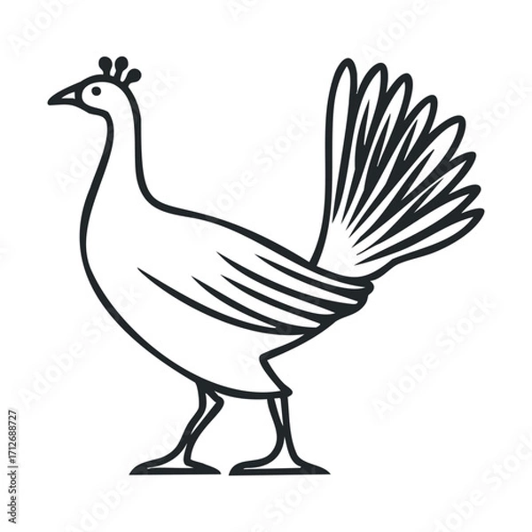 Fototapeta Peacock standing elegantly on a plain background. Vector line illustration