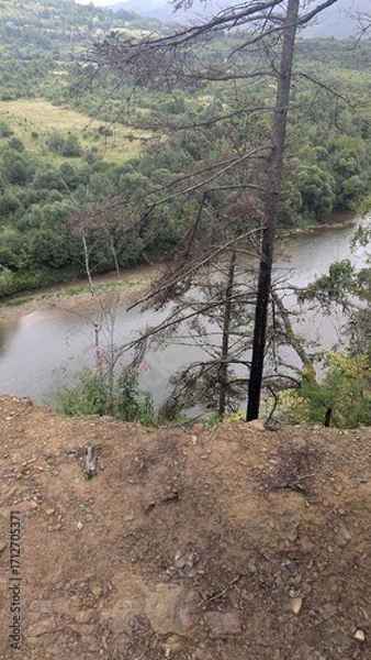 Obraz river in the forest