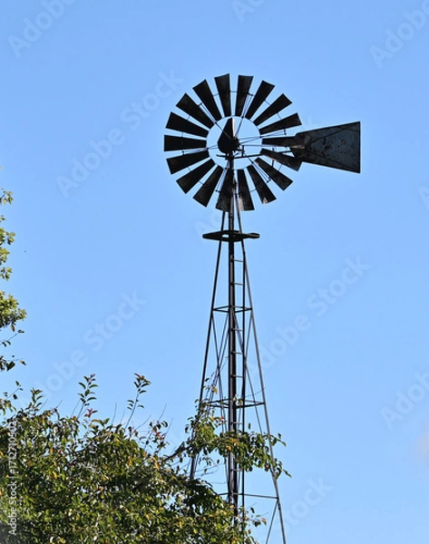 Obraz Old Windmill and Tree