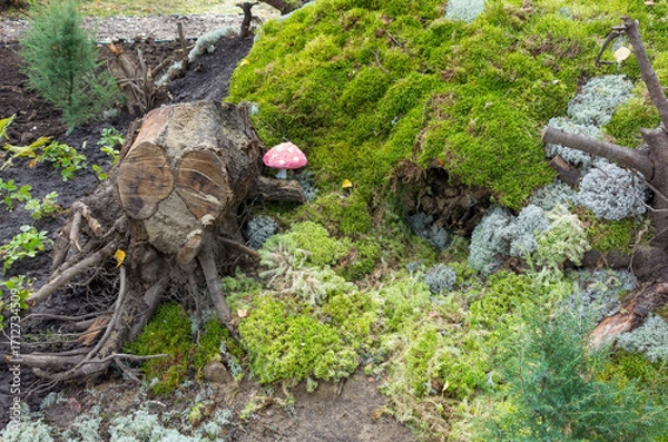 Obraz Design plan of the backyard of a garden plot and a recreation area, decorative elements, moss, roots, mushrooms