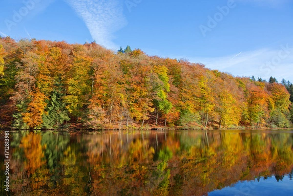 Fototapeta Fall panoramic forest in the lake with reflection.