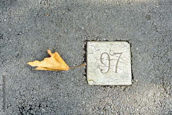 Fototapeta Dry Leaf and Concrete Number 97 on Asphalt