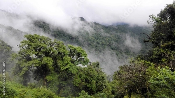 Fototapeta 金平分水岭国家级自然保护区
