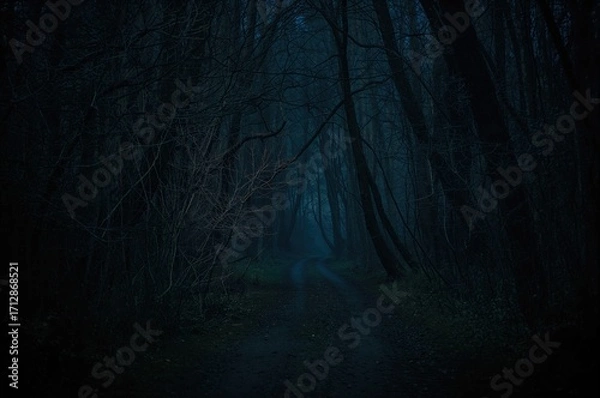 Fototapeta Foggy path within the woods