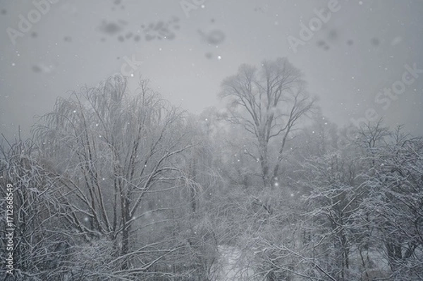 Fototapeta High-resolution capture of delicate snowfall patterns in a winter park scene