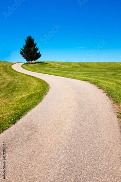Obraz Winding road leads to a tree and a bench in the distance, Black forest, Germany