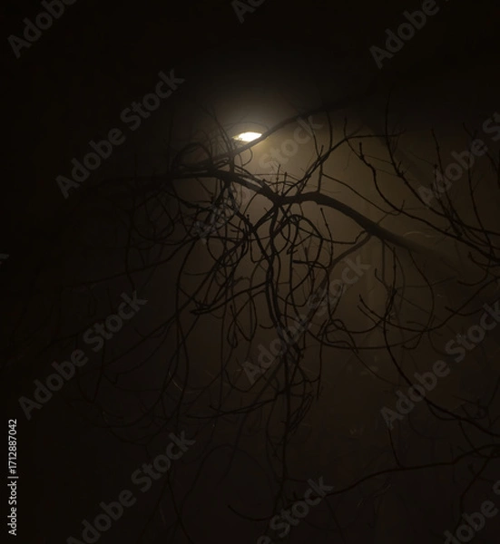 Obraz Drzewo we mgle w świetle latarni.
