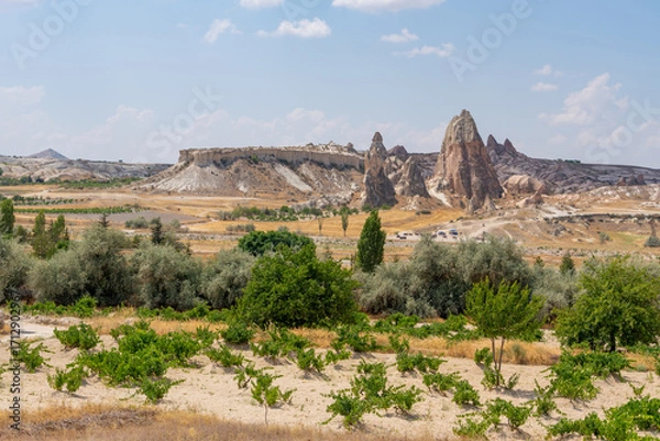 Fototapeta Volcanic rock formations landscape in Cappadocia, place of residence of ancient Christians