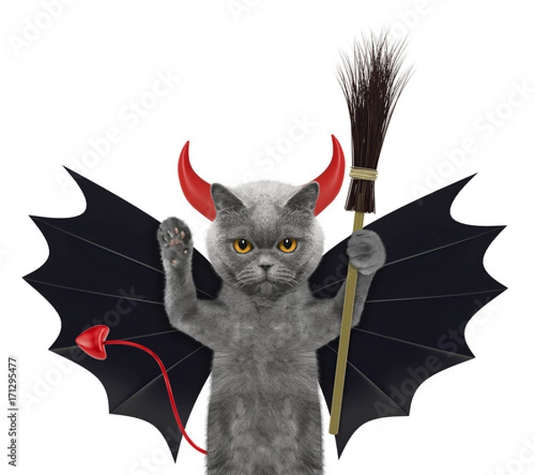 Obraz cute halloween cat in bat devil costume with broom - isolated on white