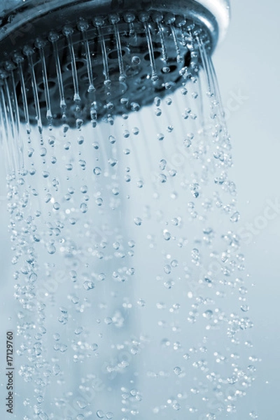 Obraz pommeau douche