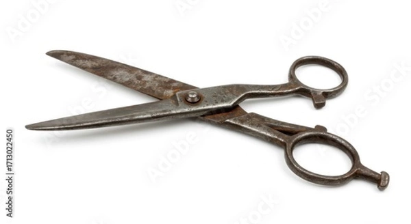 Obraz Rustic metal scissors placed on white background.