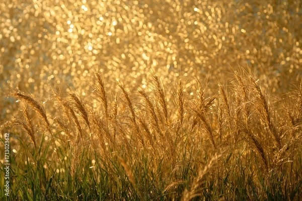 Fototapeta Purchase a stunning collection of natural yellow straw with bright lighting and captivating backgrounds