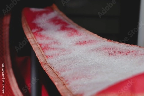 Obraz Forst on Red Arm Chair