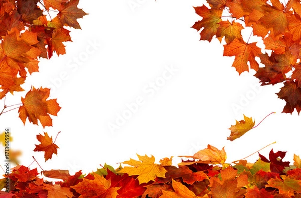 Fototapeta  PNG fall autumn natural red maple leaves border
 Fall leaves isolated on transparent background. 
