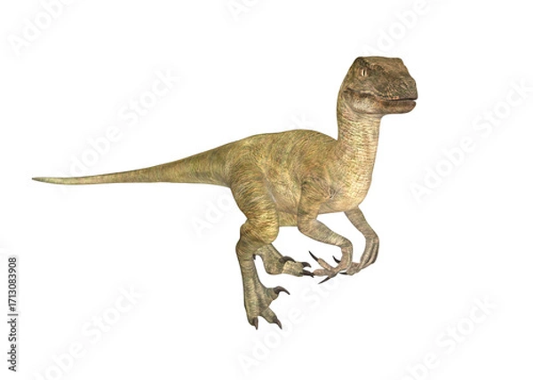 Fototapeta Velociraptor front view
