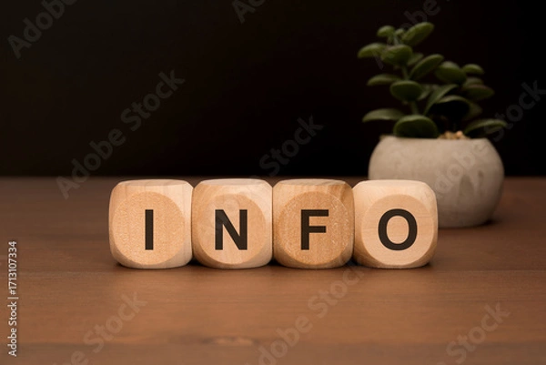 Fototapeta wooden cubes with the word INFO on a table with a blurred plant pot in the background