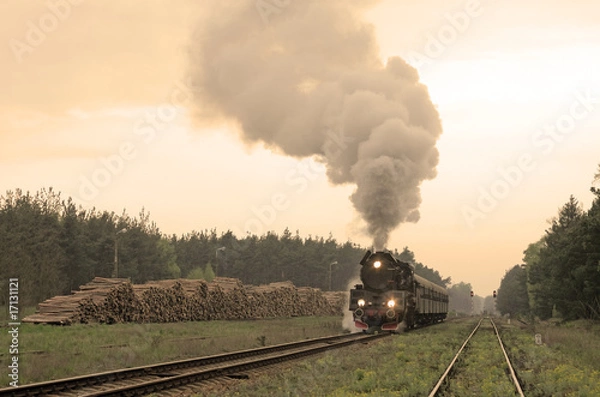 Obraz Steam retro train passing the woods