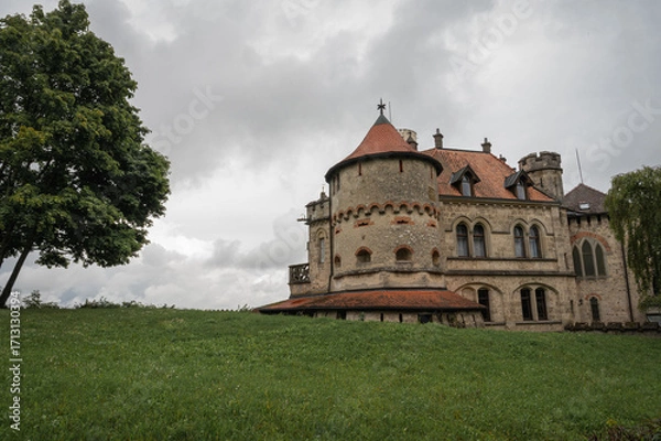 Fototapeta A mysterious black and white photo of a fern shadow on a textured rock, showing intricate details and a dramatic play of light. Perfect for artistic and botanical projects