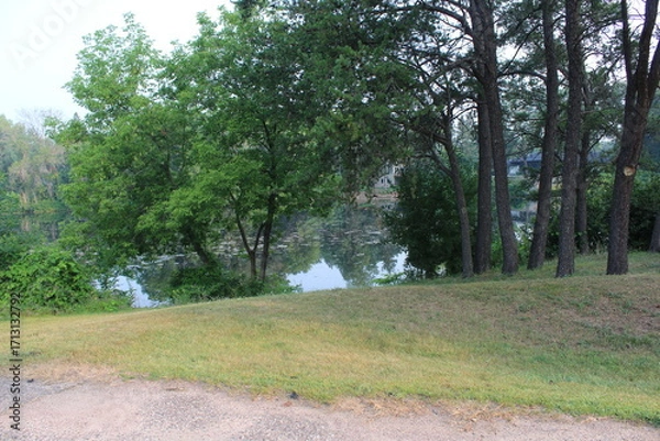 Obraz path in the woods