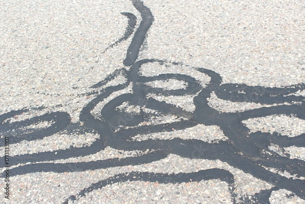 Obraz sand dollar sign