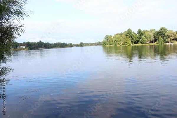 Obraz reflection of trees in water