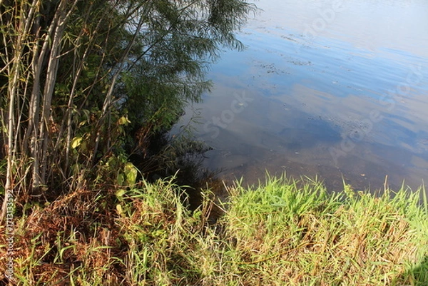 Obraz lake in the mountains