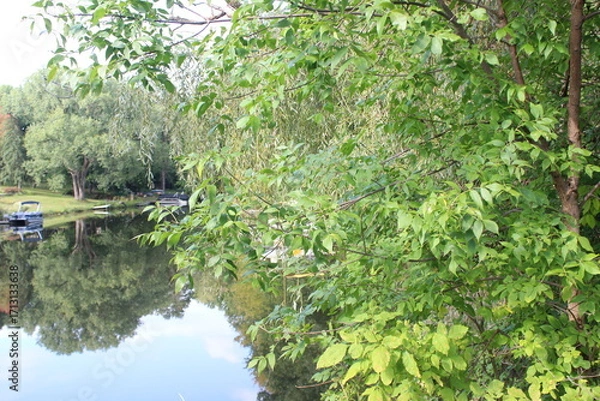 Obraz pond in the park