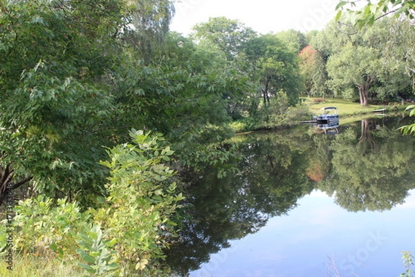Obraz lake in the woods
