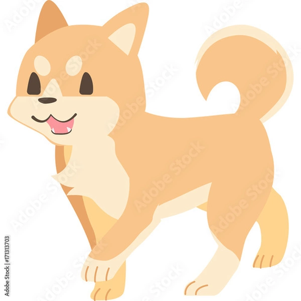 Fototapeta 歩く犬（柴犬）